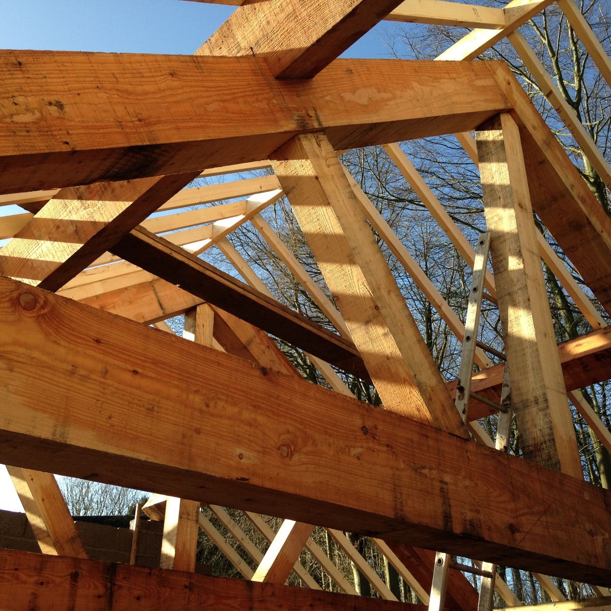 Carpenter and Joiner: Image 3